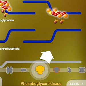 Empresa cria games sérios para aulas de botânica e biologia