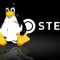 Steam Linux já é realidade. Que venham os pinguins!