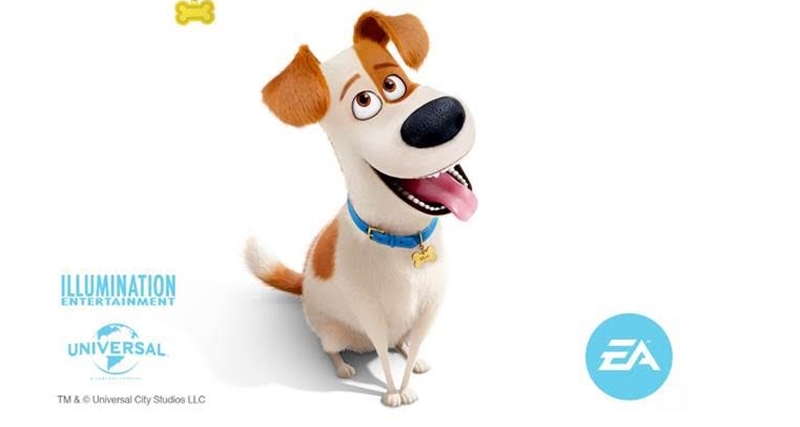 Vida Secreta dos Bichos