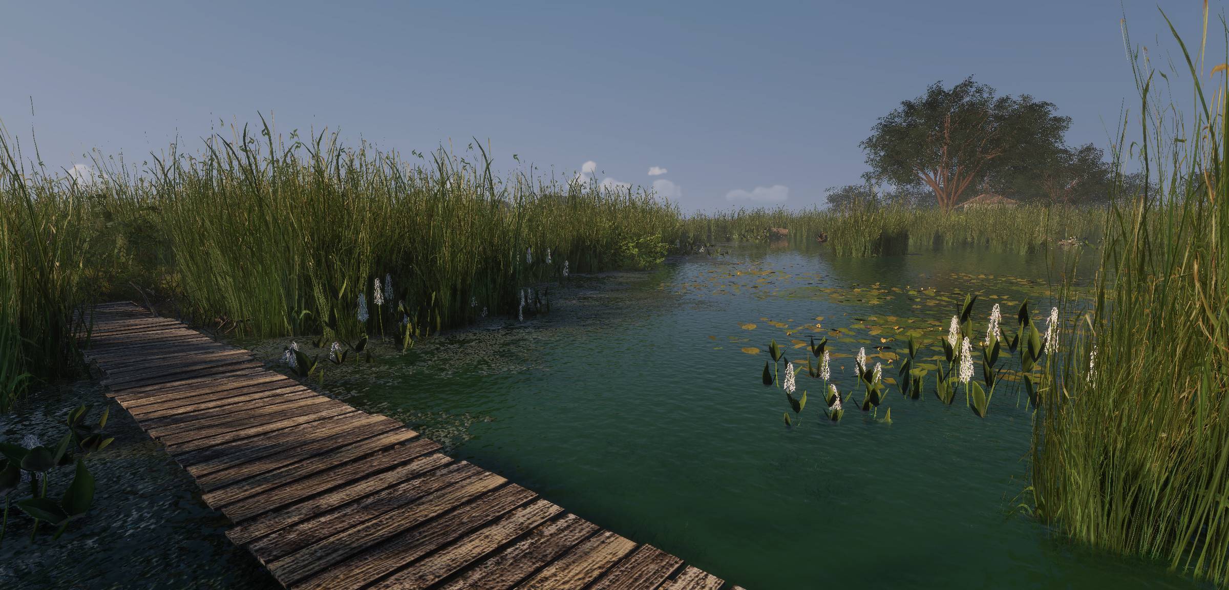MLF Pro Catch